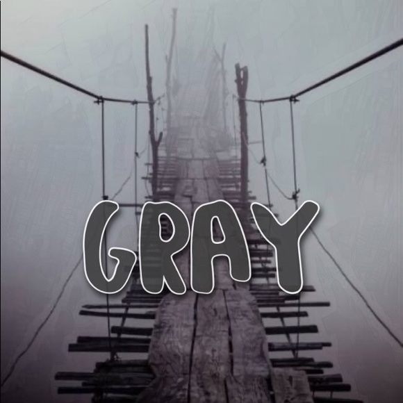 GRAY - Picture 3 of 3